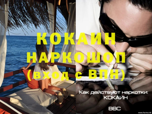 PSILOCYBIN Арсеньев