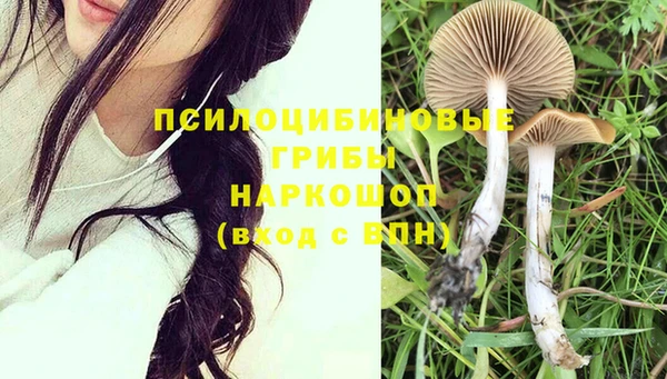 PSILOCYBIN Арсеньев